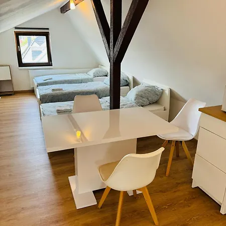 Flussnaehe Dreierwohnung Koblenz (Rhineland-Palatinate)